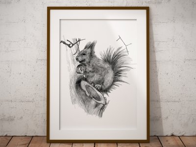 Projekty graficzne - Plakat z motywem wiewiórki